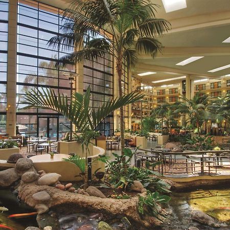 Embassy Suites By Hilton Phoenix Biltmore Esterno foto